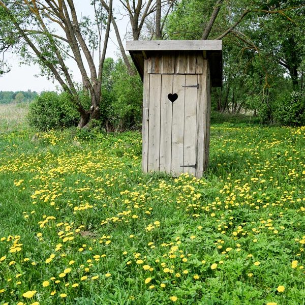 Toilettes-saches